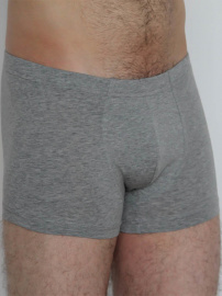 Boxer Shorts - grey