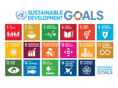 SDG12 um 12