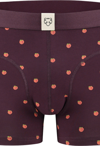 Boxer-Brief "Manus" - aubergine