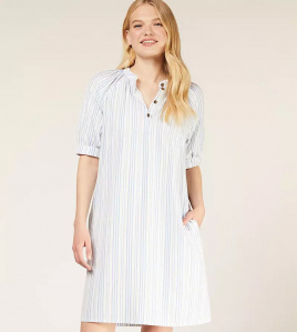 Masie Striped Dress - blue