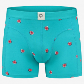 Boxer-Brief "Figgy Adam" - teal