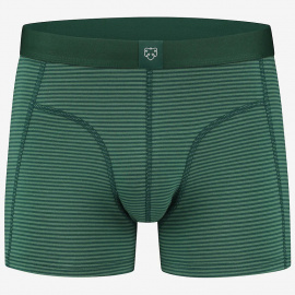 Boxer-Brief "The Greens" - grün gestreift