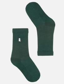 Socks "Bergenia Logo" - green