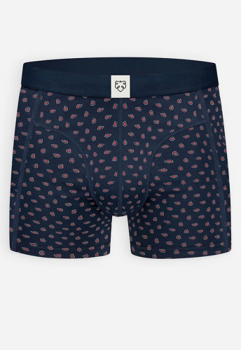 Boxer-Brief "Navy Paisley"