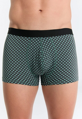 Herren Trunk Shorts - waldkubus