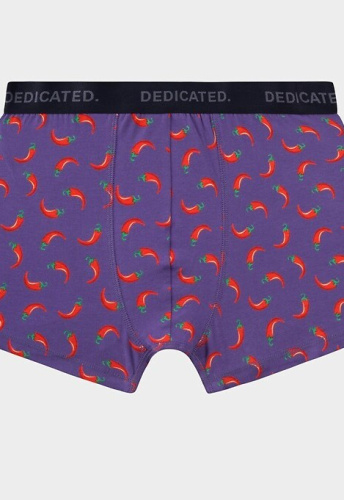 Boxer Briefs "Kalix Chilli" - purple