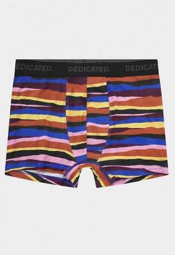 Boxer Briefs "Kalix Abstract Stripes" - multi